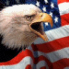 you need bald eagles we have bald eagles (for rent)