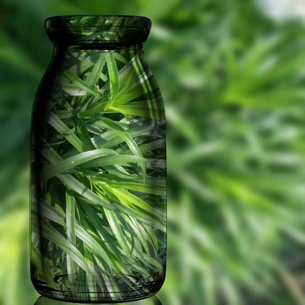 naim24606020's profile picture. 