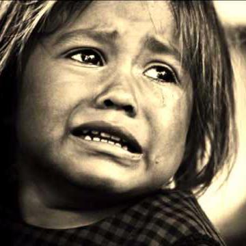 shekhawatiexim's profile picture. 