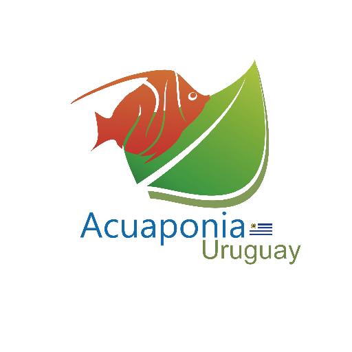 Acuaponia es un proyecto que estudia el aprovechamiento del agua y la producción de plantas 100% libre de químicos mediante la cria de peces de agua dulce