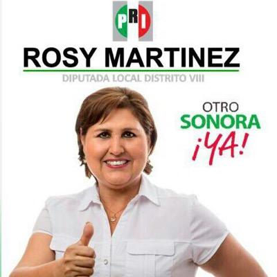 CTM Hermosillo Profile