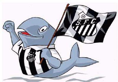 Não importa a distância, o que vale é o amor que eu sinto por esse clube. Santos sempre Santos.   Recife - PE