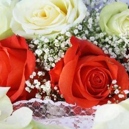 khaledkhaled163's profile picture. 