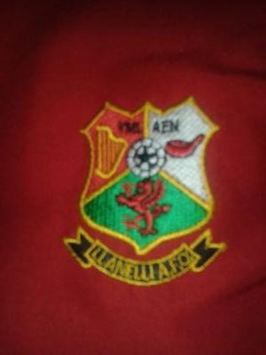 daistebo's profile picture. Llanelli, The Reds