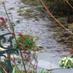 RiverCottageAntiques (@riverantique) Twitter profile photo RiverCottageAntiques (@riverantique) Twitter profile photo