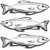 Three Salmons Hotel (@3salmonshotel) Twitter profile photo Three Salmons Hotel (@3salmonshotel) Twitter profile photo