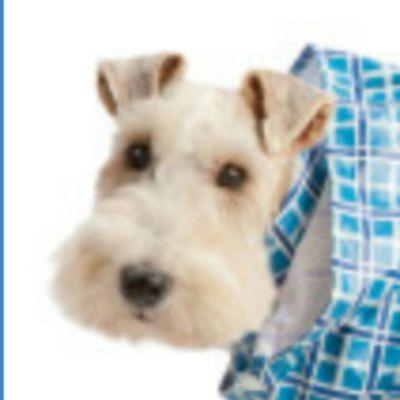 cozsuite's profile picture. True blue, tree-hugging, pro 2A (the well-regulated part), living in a red state.