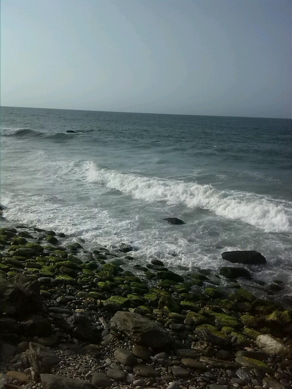 RotsyYoi's profile picture. 