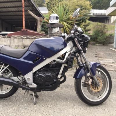 釣り(メバル エビ撒き その他) catch&eat 。バイク(ジェンマ125/VTZ250) ボロボロ メゲドッグ