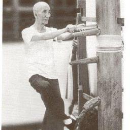 VingTsunNJ's profile picture. Traditional Chinese Kung Fu Instruction since 1977. Direct lineage: Ip Man; Moy Yat; Lee Moy Shan.