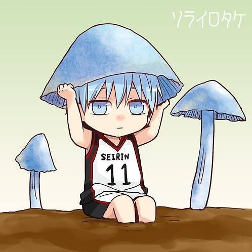 nngoc091's profile picture. 