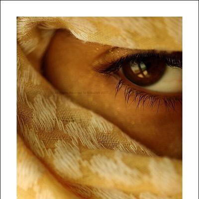 Aasf1236's profile picture. 