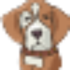 Mascotas Perdidas Profile