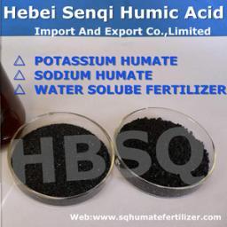 we specialize in humic fertilizer for several years,has rich experience for humic fertilizer supply.