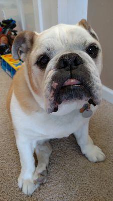 CoreySobeckOMPT's profile picture. 