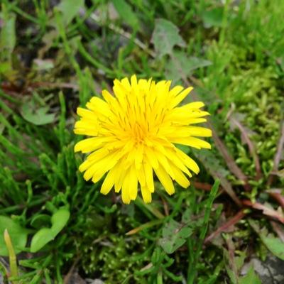 ss1103hs0809's profile picture. 「出会えたことが全て」