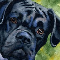 rohit_yadav3108's profile picture. 