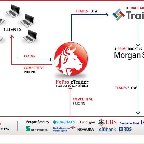 Networking & offering fundamental and technical methods for achieving entrepreneurship & financial freedom.   PayPal gift: kollybistes23@outlook.com