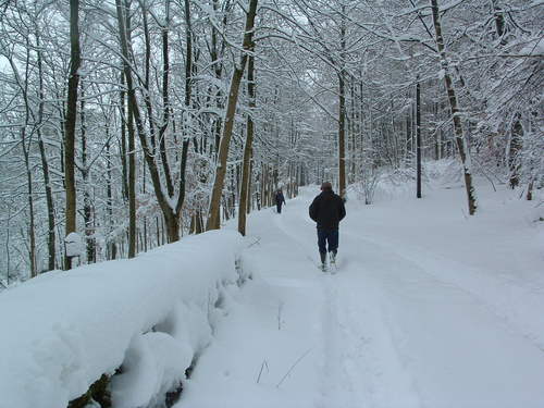 Motherdearest06's profile picture. 