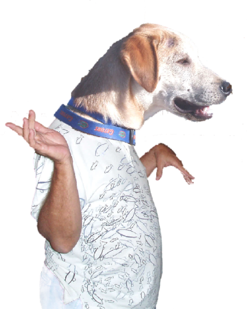 writerbayou's profile picture. 