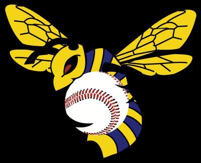 The official twitter page of The Montrose/Waverly Stingers.
Class C team est. in 2013
North Star League
#weliketogetbuzzed