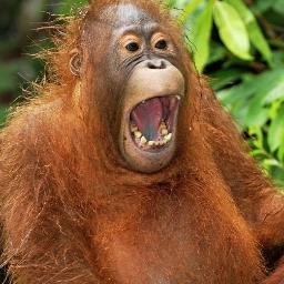 excellentfunny1's profile picture. SUB my youtube channel