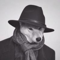 ゆう trueblue_2001 (@kenlovesnyc) 's Twitter Profile Photo ゆう trueblue_2001 (@kenlovesnyc) 's Twitter Profile Photo