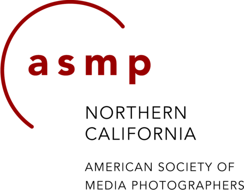 ASMPNorcal's profile picture. ASMP Chapter for Northern California