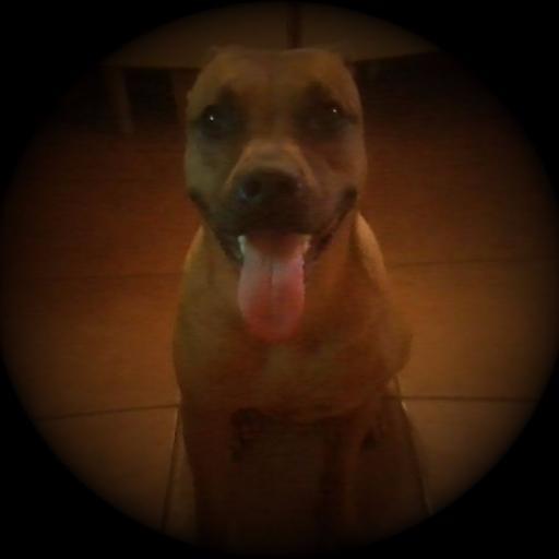 galiadennisereb's profile picture. 3 JustinBieber