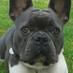 Helen Middleton (@hmiddlers) Twitter profile photo Helen Middleton (@hmiddlers) Twitter profile photo