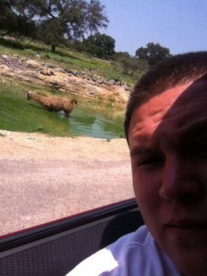 joeyisbell1's profile picture. 6.29.13