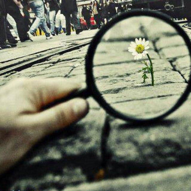 LLeRose17's profile picture. 