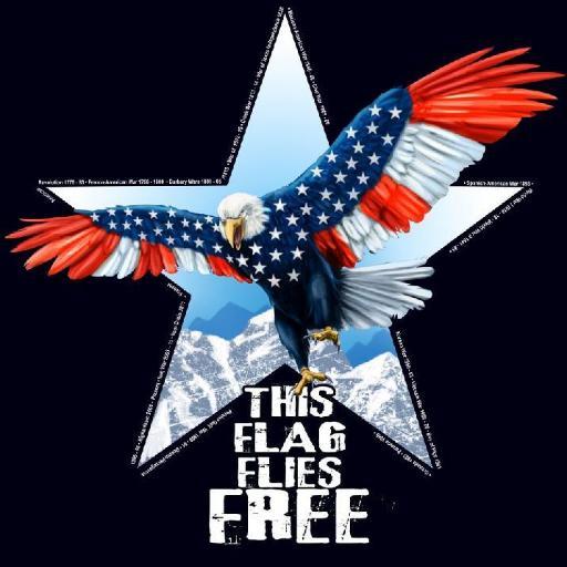 I released a song called 'This Flag Flies Free' performed by an Iraq War Vet.  It is to raise funds & more public awareness for those who suffer from P.T.S.D.