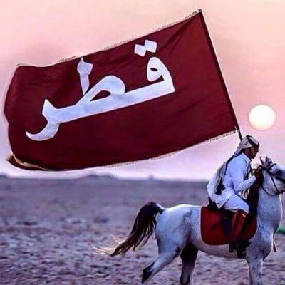 H55529Hayat's profile picture. 