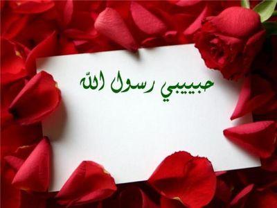 ailfseen1155's profile picture. 