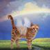 Angel Petie (@petiethecat) Twitter profile photo Angel Petie (@petiethecat) Twitter profile photo