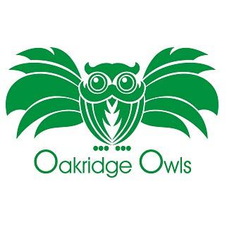 Oakridge Public School in Mississauga On.