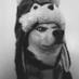 Husky ~ (@huskyhat_) Twitter profile photo Husky ~ (@huskyhat_) Twitter profile photo