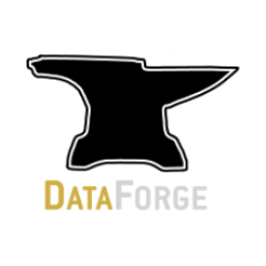 DataForgeWeb's profile picture. 