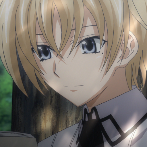 “I...will become a sword for my comrades.” 【Highschool DxD/MV RP.】