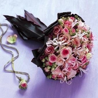 vip1488's profile picture. 