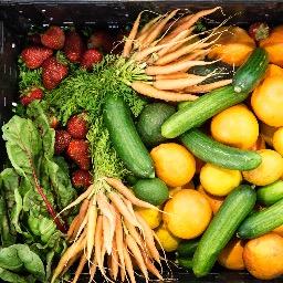 VegVeganExperi's profile picture. A no judge zone. If you want to eat healthier, you've come to the right place! Better yet, if you want to eat vegan, you're looking in the right spot.