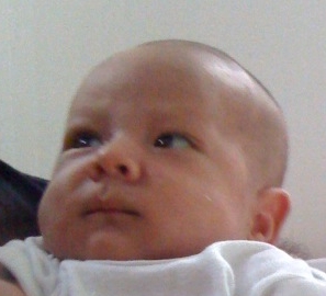 luisitogv's profile picture. 