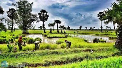 5d8ef0207bab40d's profile picture. 