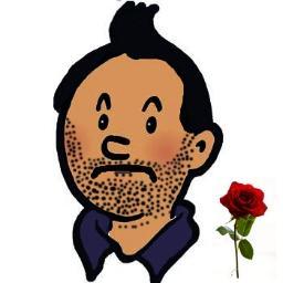 Le vrai Tintin Cyril Hanouna