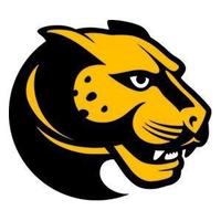 Wentworth Basketball (@witmbb) Twitter profile photo