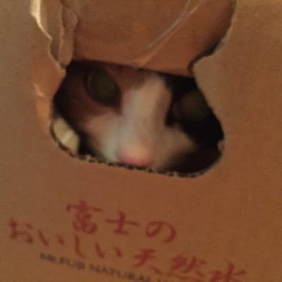 7UIOceRgmlG0gC1's profile picture. 