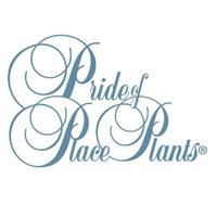 Pride of Place Plant(@popplants) 's Twitter Profile Photo