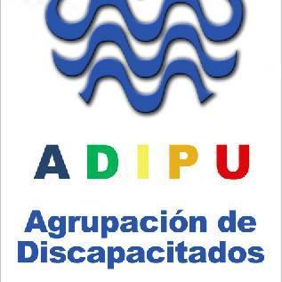 Agrupación de Discapacitados de Pucón, organización comunitaria que busca promover la inclusion total de las personas con discapacidad en la comuna de Pucón.