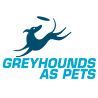 Greyhounds As Pets(@GAPNSW) 's Twitter Profile Photo